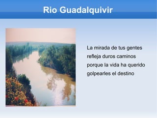 Rio Guadalquivir
La mirada de tus gentes
refleja duros caminos
porque la vida ha querido
golpearles el destino