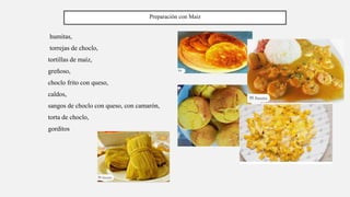 humitas,
torrejas de choclo,
tortillas de maíz,
greñoso,
choclo frito con queso,
caldos,
sangos de choclo con queso, con camarón,
torta de choclo,
gorditos
Preparación con Maiz
 