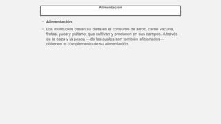 Alimentación
• Alimentación
• Los montubios basan su dieta en el consumo de arroz, carne vacuna,
frutas, yuca y plátano, que cultivan y producen en sus campos. A través
de la caza y la pesca —de las cuales son también aficionados—
obtienen el complemento de su alimentación.
 