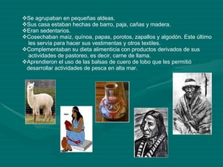 Se agrupaban en pequeñas aldeas. Sus casa estaban hechas de barro, paja, cañas y madera. Eran sedentarios. Cosechaban maíz, quínoa, papas, porotos, zapallos y algodón. Este último les servía para hacer sus vestimentas y otros textiles. Complementaban su dieta alimenticia con productos derivados de sus  actividades de pastoreo, es decir, carne de llama. Aprendieron el uso de las balsas de cuero de lobo que les permitió  desarrollar actividades de pesca en alta mar. 