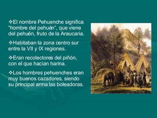 El nombre Pehuenche significa “hombre del pehuén”, que viene del pehuén, fruto de la Araucaria. Habitaban la zona centro sur entre la VII y IX regiones. Eran recolectores del piñón, con el que hacían harina. Los hombres pehuenches eran muy buenos cazadores, siendo su principal arma las boleadoras. 