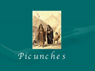 P i c u n c h e s 
