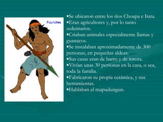 Se ubicaron entre los ríos Choapa e Itata. Eran agricultores y, por lo tanto sedentarios. Criaban animales especialmente llamas y guanacos. Se instalaban aproximadamente de 300 personas, en pequeñas aldeas. Sus casas eran de barro y de totora. Vivían unas 30 personas en la casa, o sea, toda la familia. Fabricaron su propia cerámica, y sus herramientas. Hablaban el mapudungun. 