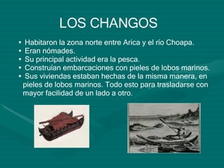 LOS CHANGOS Habitaron la zona norte entre Arica y el río Choapa. Eran nómades. Su principal actividad era la pesca. Construían embarcaciones con pieles de lobos marinos. Sus viviendas estaban hechas de la misma manera, en pieles de lobos marinos. Todo esto para trasladarse con mayor facilidad de un lado a otro. 