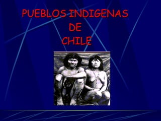 PUEBLOS INDIGENAS  DE  CHILE 