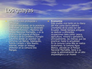 Los guayas <ul><li>Areas naturales protegidas y territorios  En su territorialidad, en la provincia de Manabí, el Estado h...