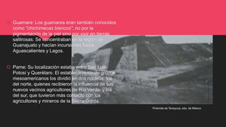  Guamare: Los guamares eran también conocidos
como "chichimecas blancos", no por la
pigmentación de la piel sino por vivir en tierras
salitrosas. Se concentraban en la región de
Guanajuato y hacían incursiones hasta
Aguascalientes y Lagos.
 Pame: Su localización estaba entre San Luis
Potosí y Querétaro. El establecimiento de grupos
mesoamericanos los dividió en dos núcleos: los
del norte, quienes recibieron la influencia de sus
nuevos vecinos agricultores de Río Verde, y los
del sur, que tuvieron más contacto con los
agricultores y mineros de la Sierra Gorda.
Pirámide de Tenayuca, edo. de México
 