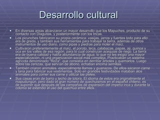 Desarrollo cultural  En diversas areas alcanzaron un mayor desarrollo que los Mapuches, producto de su contacto con Diaguitas, y posteriormente con los Incas. Los picunches fabricaron su propia cerámica: vasijas, jarros y fuentes todo para ello era de greda, y también sus herramientas para trabajar la tierra, además de otros instrumentos de uso diario, como pipas y piedras para moler el maíz. Cultivaron preferentemente el maíz, el poroto, teca, calabazas, papas, aji, quinoa y oca en los valles de esa región, para lo cual construían acequias de riego. La tierra era de buena calidad y había abundancia de agua, lo que no les exigió una mayor especialización, ni una organización social más compleja. Practicaban un sistema agrícola denominado "Roza", que consistía en derribar árboles y quemarlos. Luego sobre las cenizas, que servían de abono, echaban encima semillas. También criaron animales, especialmente llamas y guanacos. De ellos sacaron carne y lana para fabricar sus vestimentas. Solo en grandes festividades mataban alos animales para comer sus carne y utilizar las pieles. Sus casas eran de barro y techo de totora. El idioma de estos era originalmente el mapudungún, pero dado el gran número de quechuismos en el español chileno, es de suponer que después de las campañas de expansión del imperio inca y durante la colonia se extendió el uso del quechua entre ellos. 
