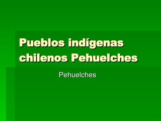 Pueblos indígenas chilenos Pehuelches Pehuelches 