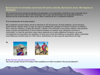 E)  Descripción de actividades económicas,  F)  Aportes culturales,  G)  Situación actual ,  H)  Imágenes,  I)  Bibliografía E)  La economía de los aymará se basaba en la ganadería y en la agricultura, el alimento más consumido era la papa de la cual conocían más de 200 variedades, pero lo que más practicaban era la ganadería (llamas y alpacas que les proporcionaban carne, lana y abono, además de ser un excelente transporte F)  la domesticación de la papa (patata). G)  La población aymará chilena actual es estimada en 48 mil personas. De ésta población, las dos terceras partes habrían migrado desde su lugar de origen, las altiplanicies ubicadas en el sector fronterizo con Bolivia y Perú, hacia las ciudades y pueblos del desierto ( Calama y Pozo Almonte) o los puertos costeros, más próximos (Arica e Iquique principalmente). El tercio restante mantiene su carácter rural, campesino comunero o minifundista. La mitad de este último sector sigue habitando en la región altiplánica fronteriza y se ocupa principalmente de la ganadería de camélidos, en tanto que el resto se distribuye en pequeños valles y quebradas precordilleranas ubicados bajo los 3.500 metros, dedicándose al cultivo agrícola dependiente del riego H) I)   http://aymara.org/cultura-aymara.html , http://www.google.cl/search?hl=es&sa=X&oi=spell&resnum=0&ct=result&cd=1&q=aymaras&spell=1 