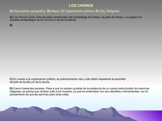 A)  Descripción geográfica,  B)  Mapa,  C)  Organización política,  D)  Org. Religiosa LOS CHONOS A)  Los Chonos vivían entre las islas meridionales del archipiélago de Chiloé y el golfo de Penas, y ocupaban los actuales archipiélagos de los Chonos y de las Guaitecas  B) C)  En cuanto a la organización política, es prácticamente nula y sólo debió respetarse la autoridad del jefe de familia y/o de la banda. D)  Fueron bastantes escasas. Pese a que no existen pruebas de la existencia de un cuerpo estructurado de creencias religiosas, se piensa que rendían culto a los muertos, ya que los enterraban con sus utensilios y herramientas, con el pensamiento de que les servirían para otras vidas. 