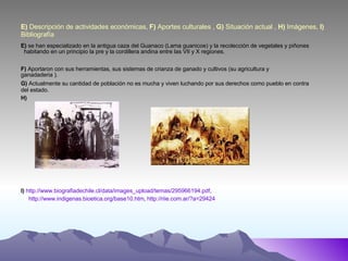 E)  Descripción de actividades económicas,  F)  Aportes culturales ,  G)  Situación actual ,  H)  Imágenes,  I)  Bibliografía E)  se han especializado en la antigua caza del Guanaco (Lama guanicoe) y la recolección de vegetales y piñones  habitando en un principio la pre y la cordillera andina entre las VII y X regiones. F)  Aportaron con sus herramientas, sus sistemas de crianza de ganado y cultivos (su agricultura y ganadaderia ). G)  Actualmente su cantidad de población no es mucha y viven luchando por sus derechos como pueblo en contra del estado. H) I)   http://www.biografiadechile.cl/data/images_upload/temas/295966194.pdf , http://www.indigenas.bioetica.org/base10.htm ,  http://riie.com.ar/?a=29424 