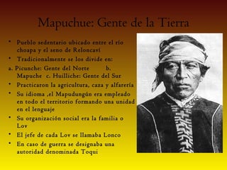 Mapuchue: Gente de la Tierra
• Pueblo sedentario ubicado entre el río
   choapa y el seno de Reloncaví
• Tradicionalmente se los divide en:
a. Picunche: Gente del Norte       b.
   Mapuche c. Huilliche: Gente del Sur
• Practicaron la agricultura, caza y alfarería
• Su idioma ,el Mapudungún era empleado
   en todo el territorio formando una unidad
   en el lenguaje
• Su organización social era la familia o
   Lov
• El jefe de cada Lov se llamaba Lonco
• En caso de guerra se designaba una
   autoridad denominada Toqui
 