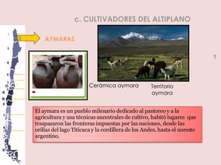 AYMARAS c. CULTIVADORES DEL ALTIPLANO Territorio aymara Cerámica aymara El aymara es un pueblo milenario dedicado al pastoreo y a la agricultura y usa técnicas ancestrales de cultivo, habitó lugares  que traspasaron las fronteras impuestas por las naciones, desde las orillas del lago Titicaca y la cordillera de los Andes, hasta el noreste argentino. 