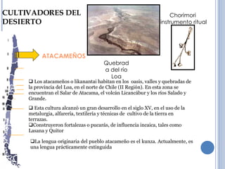 ATACAMEÑOS CULTIVADORES DEL DESIERTO Los atacameños o likanantai habitan en los  oasis, valles y quebradas de la provincia del Loa, en el norte de Chile (II Región). En esta zona se encuentran el Salar de Atacama, el volcán Licancábur y los ríos Salado y Grande. Esta cultura alcanzó un gran desarrollo en el siglo XV, en el uso de la metalurgia, alfarería, textilería y técnicas de  cultivo de la tierra en terrazas. Construyeron fortalezas o pucarás, de influencia incaica, tales como Lasana y Quitor La lengua originaria del pueblo atacameño es el kunza. Actualmente, es una lengua prácticamente extinguida Quebrada del río Loa Chorimori  instrumento ritual 