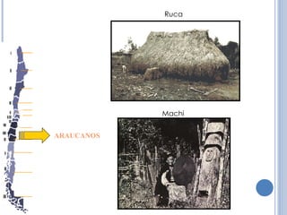 ARAUCANOS Ruca Machi 
