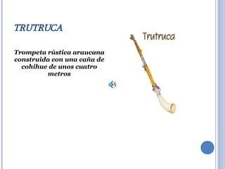 TRUTRUCA Trompeta rústica araucana construida con una caña de cohihue de unos cuatro metros 