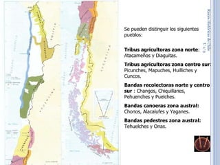 Raíces Históricas de Chile  U 1/  Se pueden distinguir los siguientes pueblos:  Tribus agricultoras zona norte : Atacameños y Diaguitas. Tribus agricultoras zona centro sur : Picunches, Mapuches, Huilliches y Cuncos. Bandas recolectoras norte y centro sur  : Changos, Chiquillanes, Pehuenches y Puelches.  Bandas canoeras zona austral:  Chonos, Alacalufes y Yaganes. Bandas pedestres zona austral:  Tehuelches y Onas.  