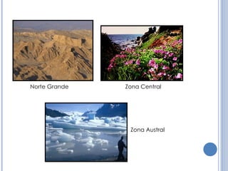 Zona Central Zona Austral Norte Grande 