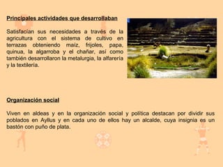 Principales actividades que desarrollaban

Satisfacían sus necesidades a través de la
agricultura con el sistema de cultivo en
terrazas obteniendo maíz, frijoles, papa,
quinua, la algarroba y el chañar, así como
también desarrollaron la metalurgia, la alfarería
y la textilería.




Organización social

Viven en aldeas y en la organización social y política destacan por dividir sus
poblados en Ayllus y en cada uno de ellos hay un alcalde, cuya insignia es un
bastón con puño de plata.
 