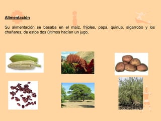 Alimentación

Su alimentación se basaba en el maíz, frijoles, papa, quinua, algarrobo y los
chañares, de estos dos últimos hacían un jugo.
 