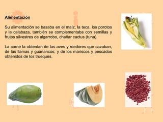 Alimentación

Su alimentación se basaba en el maíz, la teca, los porotos
y la calabaza, también se complementaba con semillas y
frutos silvestres de algarrobo, chañar cactus (tuna).

La carne la obtenían de las aves y roedores que cazaban,
de las llamas y guanancos; y de los mariscos y pescados
obtenidos de los trueques.
 