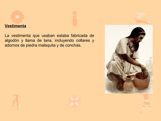 Vestimenta

La vestimenta que usaban estaba fabricada de
algodón y llama de lana, incluyendo collares y
adornos de piedra malaquita y de conchas.
 