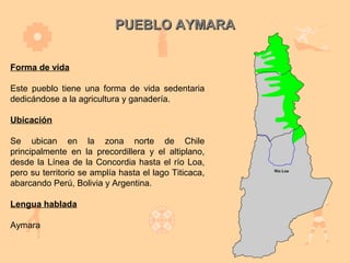 PUEBLO AYMARA


Forma de vida

Este pueblo tiene una forma de vida sedentaria
dedicándose a la agricultura y ganadería.

Ubicación

Se ubican en la zona norte de Chile
principalmente en la precordillera y el altiplano,
desde la Línea de la Concordia hasta el río Loa,
pero su territorio se amplía hasta el lago Titicaca,
abarcando Perú, Bolivia y Argentina.

Lengua hablada

Aymara
 