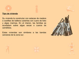 Tipo de vivienda

Su vivienda la construían con estacas de madera
o costillas de ballena cubiertas con cuero de lobo
y algas marinas. En el interior, las familias se
acostaban sobre algas secas o cueros de
camélidos.

Estas viviendas son similares a las bandas
canoeras de la zona sur.
 