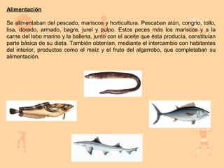 Alimentación

Se alimentaban del pescado, mariscos y horticultura. Pescaban atún, congrio, tollo,
lisa, dorado, armado, bagre, jurel y pulpo. Estos peces más los mariscos y a la
carne del lobo marino y la ballena, junto con el aceite que ésta producía, constituían
parte básica de su dieta. También obtenían, mediante el intercambio con habitantes
del interior, productos como el maíz y el fruto del algarrobo, que completaban su
alimentación.
 