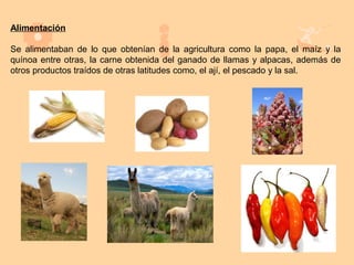 Alimentación

Se alimentaban de lo que obtenían de la agricultura como la papa, el maíz y la
quínoa entre otras, la carne obtenida del ganado de llamas y alpacas, además de
otros productos traídos de otras latitudes como, el ají, el pescado y la sal.
 