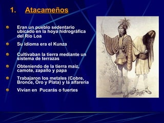 Atacameños Eran un pueblo sedentario ubicado en  la hoya hidrográfica del Río Loa   Su idioma era el Kunza   Cultivaban la tierra mediante un sistema de terrazas Obteniendo de la tierra maíz, camote, zapallo y papa Trabajaron los metales (Cobre, Bronce, Oro y Plata) y la alfarería Vivían en  Pucarás o fuertes   
