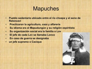 Mapuches Pueblo sedentario ubicado entre el río choapa y el seno de Reloncaví Practicaron la agricultura, caza y alfarería Su idioma era el Mapudungún y su religión espiritista Su organización social era la familia o Lov El jefe de cada Lov se llamaba Lonco En caso de guerra se designaba  un jefe supremo o Cacique 
