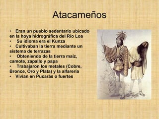 Atacameños Eran un pueblo sedentario ubicado en la hoya hidrográfica del Río Loa Su idioma era el Kunza Cultivaban la tierra mediante un sistema de terrazas Obteniendo de la tierra maíz, camote, zapallo y papa Trabajaron los metales (Cobre, Bronce, Oro y Plata) y la alfarería Vivían en Pucarás o fuertes 
