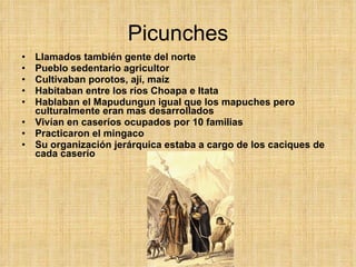 Picunches Llamados también gente del norte Pueblo sedentario agricultor Cultivaban porotos, ají, maíz Habitaban entre los ríos Choapa e Itata Hablaban el Mapudungun igual que los mapuches pero culturalmente eran mas desarrollados Vivían en caseríos ocupados por 10 familias Practicaron el mingaco Su organización jerárquica estaba a cargo de los caciques de cada caserío 