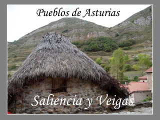 Pueblos de Asturias

Saliencia y Veigas

 