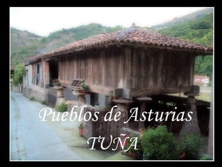 Pueblos de Asturias
TUÑA

 