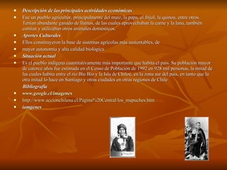 Descripción de las principales actividades económicas Fue un pueblo agricultor, principalmente del maíz, la papa, el frijol, la quínoa, entre otros. Tenían abundante ganado de llamas, de las cuales aprovechaban la carne y la lana, también comían y utilizaban otros animales domésticos. Aportes Culturales Ellos constituyeron la base de sistemas agrícolas más sustentables, de  mayor autonomía y alta calidad biológica.  Situación actual Es el pueblo indígena cuantitativamente más importante que habita el país. Su población mayor de catorce años fue estimada en el Censo de Población de 1992 en 928 mil personas, la mitad de las cuales habita entre el río Bío Bío y la Isla de Chiloé, en la zona sur del país, en tanto que la otra mitad lo hace en Santiago y otras ciudades en otras regiones de Chile  Bibliografia www.google.cl/imagenes http://www.accionchilena.cl/Pagina%20Central/los_mapuches.htm iamgenes 