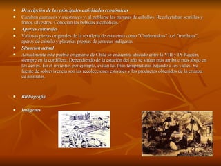 Descripción de las principales actividades económicas Cazaban guanacos y avestruces y, al poblarse las pampas de caballos. Recolectaban semillas y frutos silvestres. Conocían las bebidas alcohólicas  Aportes culturales Valiosas piezas originales de la textilería de esta etnia como "Chañuntukus" o el "trarihues", aperos de caballo y platerías propias de jerarcas indígenas  Situación actual Actualmente éste pueblo originario de Chile se encuentra ubicado entre la VIII y IX Región, siempre en la cordillera. Dependiendo de la estación del año se sitúan más arriba o más abajo en los cerros. En el invierno, por ejemplo, evitan las frías temperaturas bajando a los valles. Su fuente de sobrevivencia son las recolecciones estivales y los productos obtenidos de la crianza de animales. Bibliografía Imágenes 