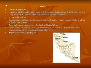chonos Ubicación geográfica Los changos habitaron las caletas costeras de la zona litoral del territorio de Chile, entre los ríos Loa y Aconcagua. Desde el Norte de Arica hasta el norte de La Serena. organización política Su organización política era prácticamente nula y solo debían respetar a su autoridad o al jefe de la familia o de la banda. Descripción de la organización o institucionalidad religiosa. Rendia culto a los muertos, ya que los enterraban  con sus utensilios y herramientas, con el pensamiento de que les servirían para otras vidas. Mapa de la ubicación geográfica 