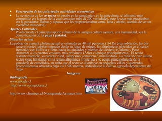 Descripción de las principales actividades económicas  La economía de los  aymara  se basaba en la ganadería y en la agricultura, el alimento más consumido era la papa de la cual conocían más de 200 variedades, pero lo que más practicaban era la ganadería (llamas y alpacas que les proporcionaban carne, lana y abono, además de ser un excelente transporte).  Aportes Culturales. Posiblemente el principal aporte cultural de la antigua cultura aymara, a la humanidad, sea la domesticación de la  papa ( patata) .  Situación actual La población aymará chilena actual es estimada en 48 mil personas. (16)  De ésta población, las dos terceras partes habrían migrado desde su lugar de origen, las altiplanicies ubicadas en el sector fronterizo con Bolivia y Perú, hacia las ciudades y pueblos del desierto (Calama y Pozo Almonte) o los puertos costeros, más próximos (Arica e Iquique principalmente). El tercio restante mantiene su carácter rural, campesino comunero o minifundista. La mitad de este último sector sigue habitando en la región altiplánica fronteriza y se ocupa principalmente de la ganadería de camélidos, en tanto que el resto se distribuye en pequeños valles y quebradas precordilleranas ubicados bajo los 3.500 metros, dedicándose al cultivo agrícola dependiente del riego. Imágenes Bibliografía www.google.cl http://www.seringidena.cl http://www.clinamen.cl/Nortegrande/Aymaras.htm 