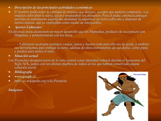 Descripción de las principales actividades económicas El hombre podía tener la cantidad de mujeres que deseara, siempre que pudiera comprarlas. Las mujeres cultivaban la tierra, tejían y preparaban los alimentos. Para el padre, entonces,entregar una hija en matrimonio significaba disminuir la superficie de tierra cultivada y disponer de menos mantas, que se empleaban como medio de intercambio.  Aportes Culturales En diversas áreas alcanzaron un mayor desarrollo que los Mapuches, producto de su contacto con Diaguitas, y posteriormente con los Incas - Fabricaron su propia cerámica vasijas, jarros y fuentes todo para ello era de greda, y también sus herramientas para trabajar la tierra, además de otros instrumentos de uso diario, como pipas y piedras para moler el maíz.  Situación actual Los Picunches desaparecieron de la zona central como identidad cultural durante el transcurso del Siglo XIX, juntos con los últimos pueblos de indios en los que habían conservado alguna cohesión social. Bibliografia www.google.cl http://es.wikipedia.org/wiki/Picunche Imágenes 