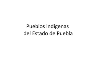 Pueblos indígenas  del Estado de Puebla 