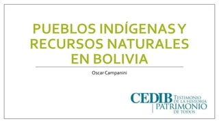 PUEBLOS INDÍGENAS Y 
RECURSOS NATURALES 
EN BOLIVIA 
Oscar Campanini 
 