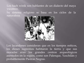 Los hach winik son hablantes de un dialecto del maya
yucateco.
Su sistema religioso se basa en los ciclos de la
naturaleza.




Los lacandones consideran que en los tiempos míticos,
los dioses supremos habitaron la tierra y que sus
moradas eran los grandes centros arqueológicos
asentados en la región, como son Palenque, Yaxchilán y
probablemente Piedras Negras.
 