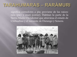 significa corredores a pie; proviene de las raíces:
rara (pie) y muri (correr). Habitan la parte de la
Sierra Madre Occidental que atraviesa el estado de
Chihuahua y el suroeste de Durango y Sonora.
 