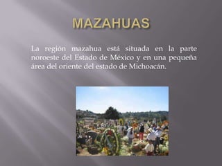 La región mazahua está situada en la parte
noroeste del Estado de México y en una pequeña
área del oriente del estado de Michoacán.
 