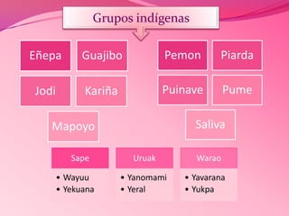 Eñepa Guajibo
Jodi Kariña
Mapoyo
Pemon Piarda
Puinave Pume
Saliva
Sape
• Wayuu
• Yekuana
Uruak
• Yanomami
• Yeral
Warao
• Yavarana
• Yukpa
Grupos indígenas
 