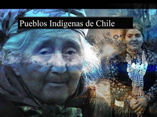 Pueblos Indígenas de Chile 