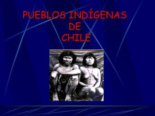 PUEBLOS INDÍGENAS  DE  CHILE 